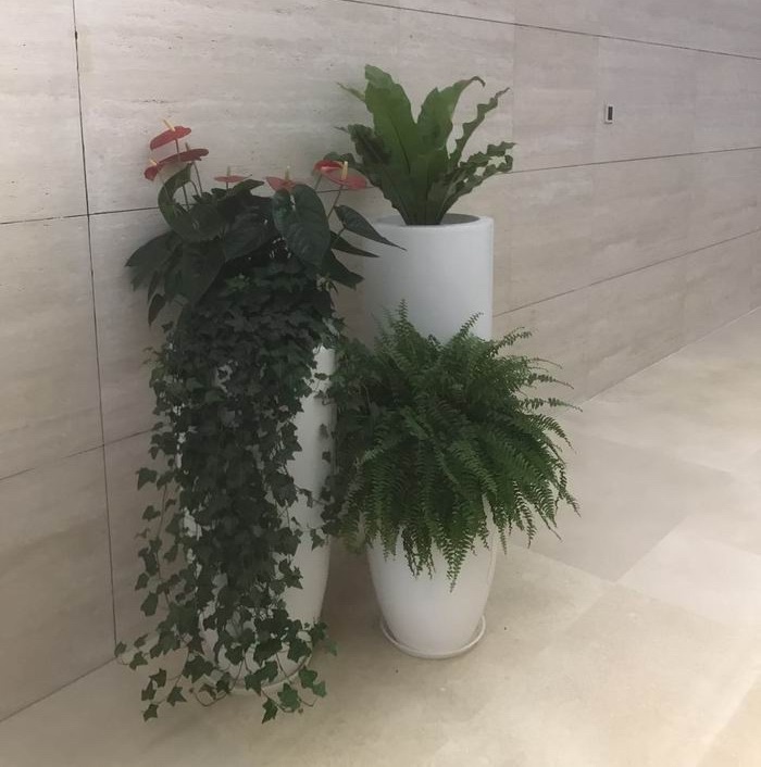 綠植租擺