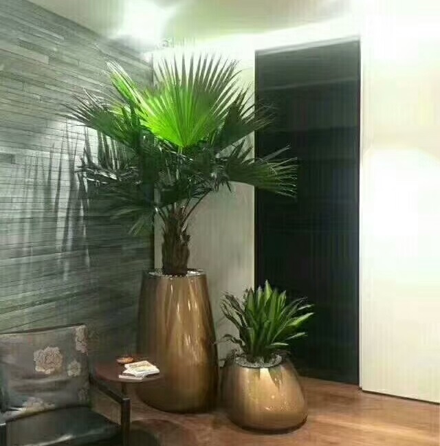 綠植租擺